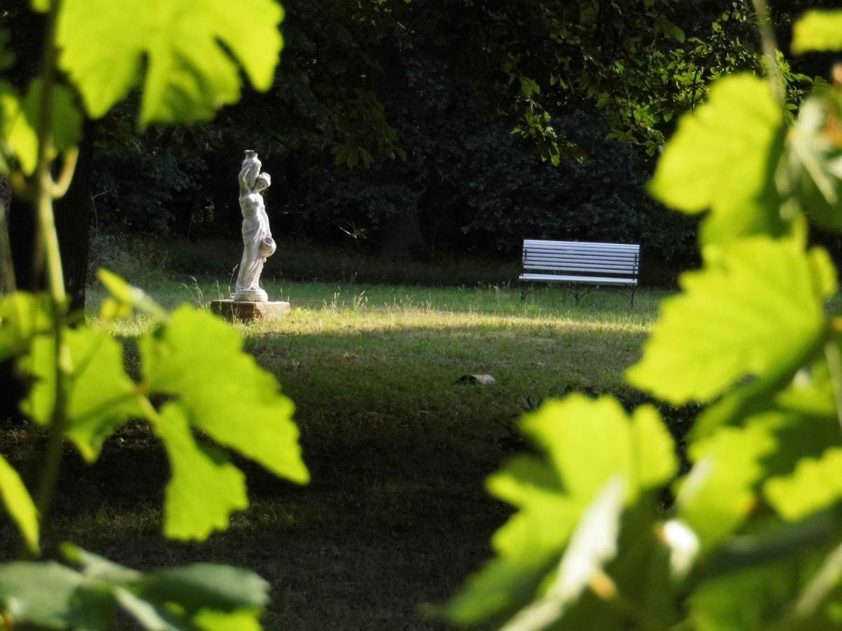 Ferienwohnung Wassermuhle Plattenburg Exteriör bild